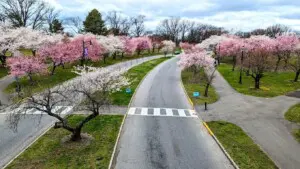 Branch Brook Park