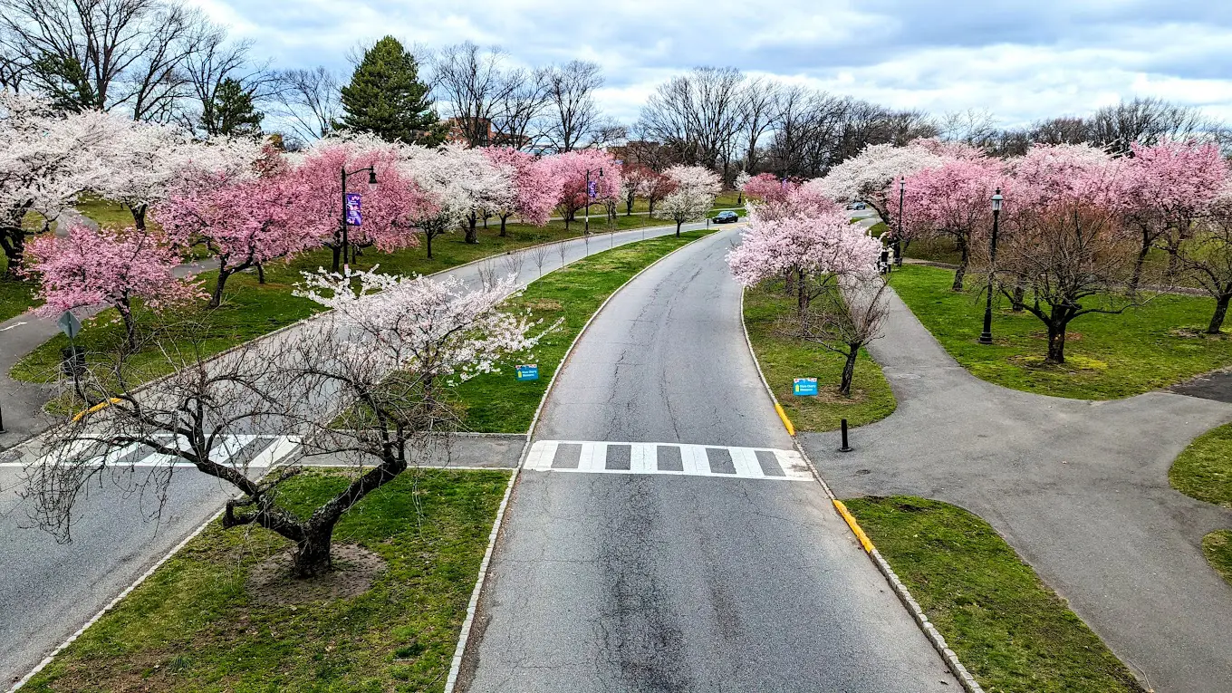 Branch Brook Park