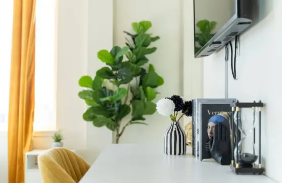 kQ4l1PGwZvIhPcomqbtb57ubXraEvnHh385g0rvu.jpg